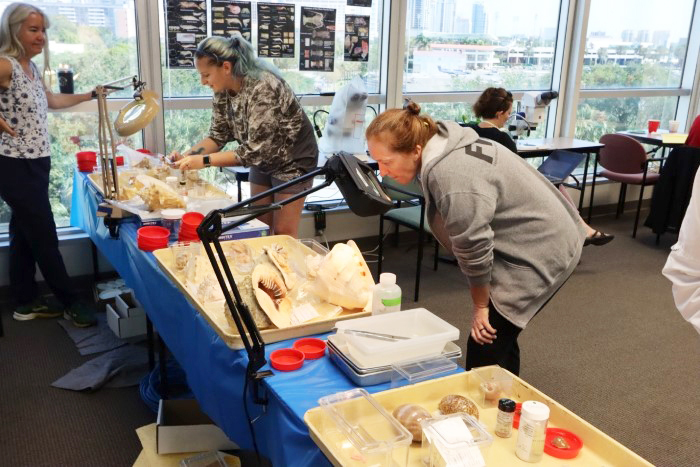 invertebrate workshop