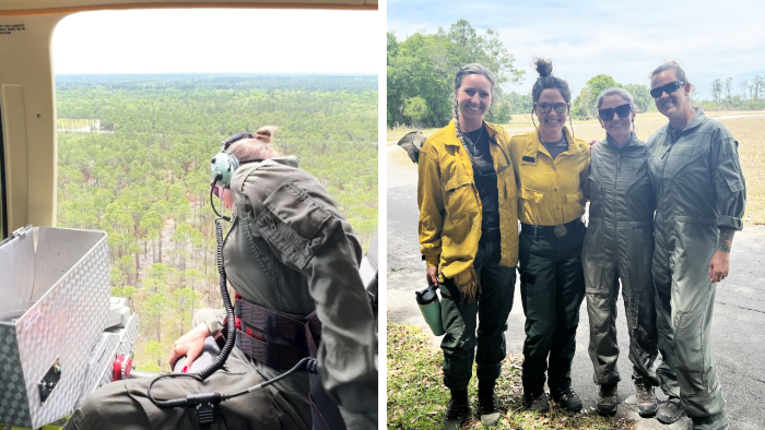 aerial burn training
