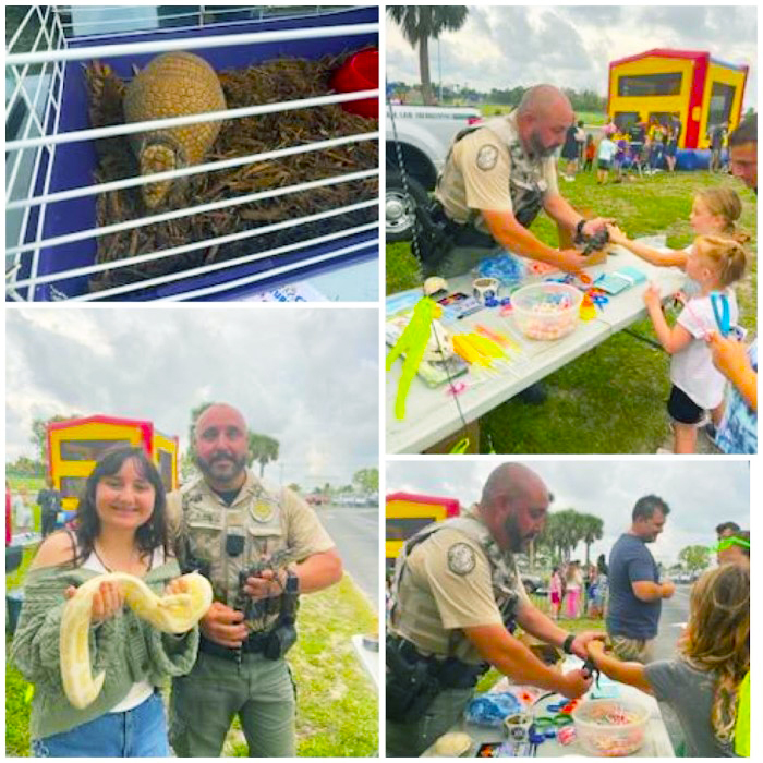 spring fest