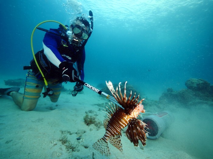 diver with lionfish