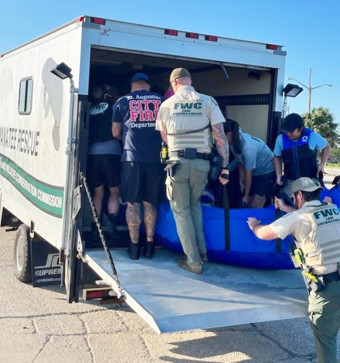 manatee rescue