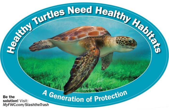 sea turtle decal