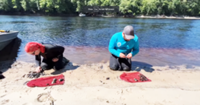 mussel biologists