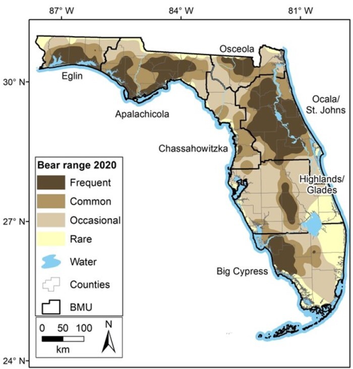 bear map