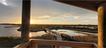 Sunset, seen from a wooden tower overlooking a lagoon spanned by a boardwalk.