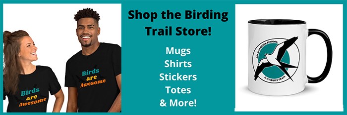 link to Great Florida Birding and Wildlife Trail store