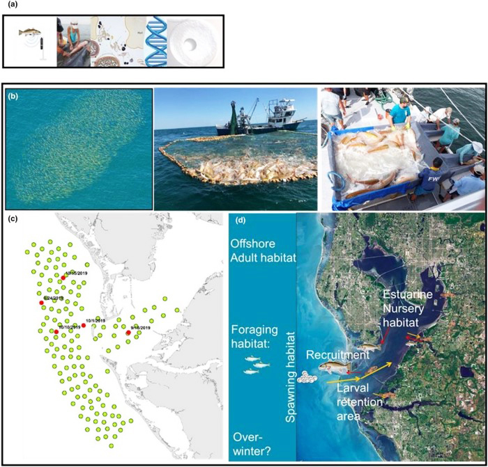 reproductive resilience research