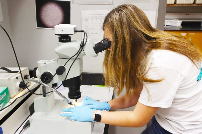 student in lab