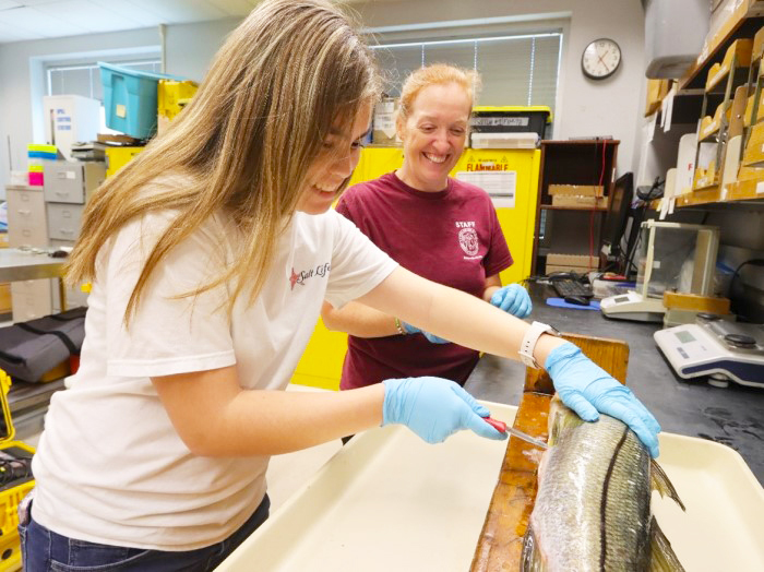 student in lab