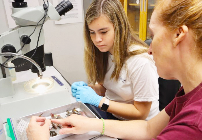 student in lab