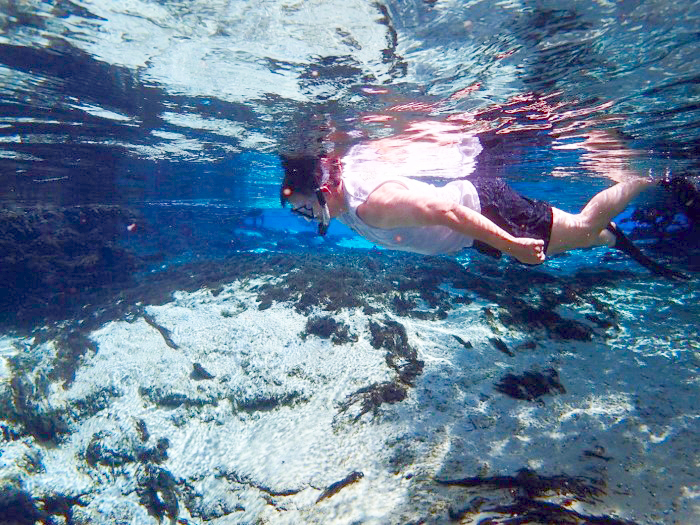 jay snorkeling