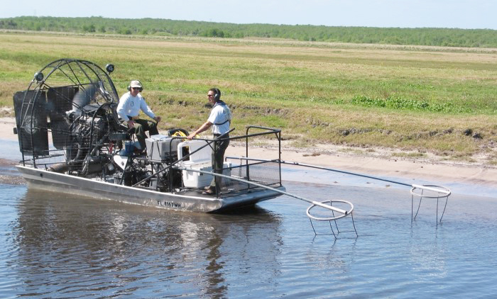 jay electrofishing