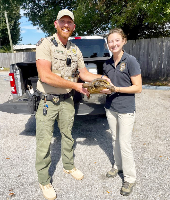 tortoise transport