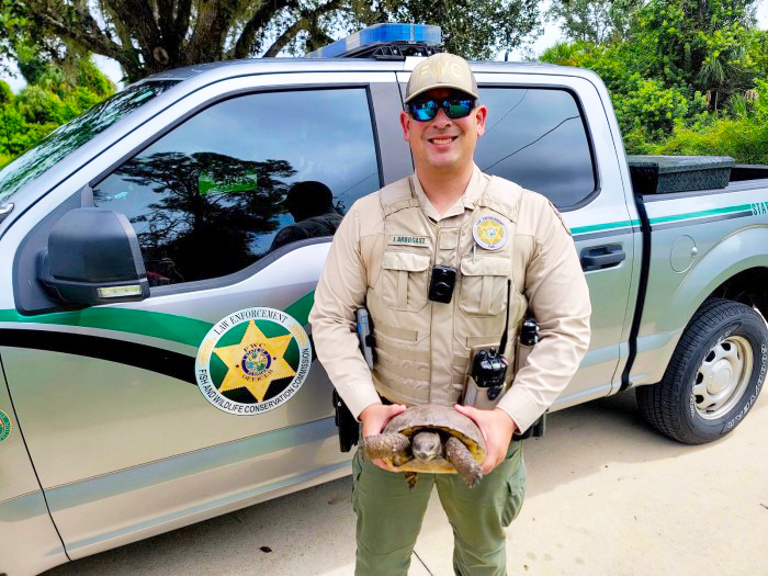 tortoise transport