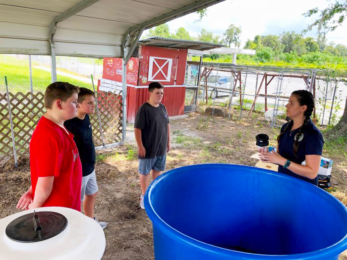 aquaponics