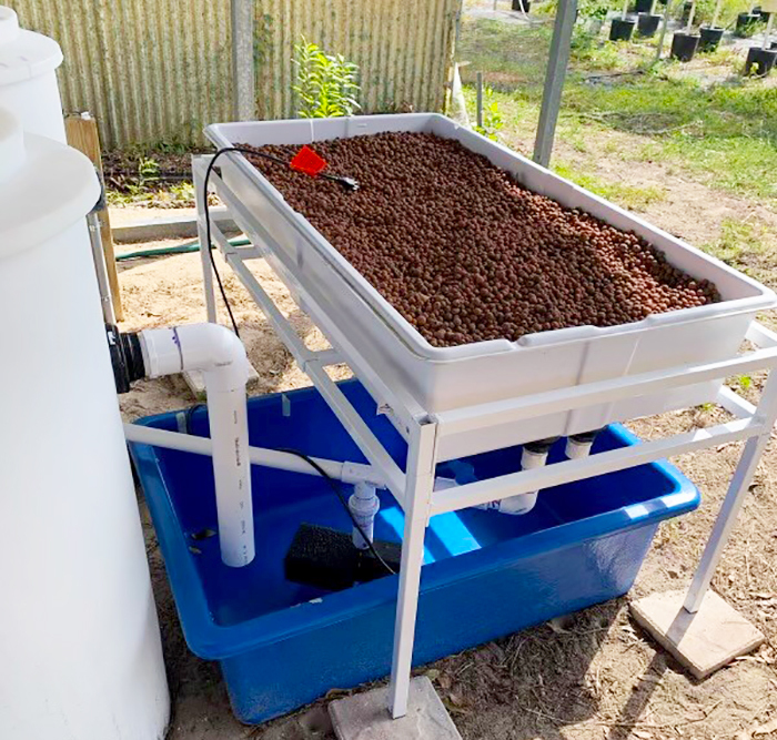 aquaponics