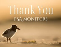 Thank You FSA Monitors