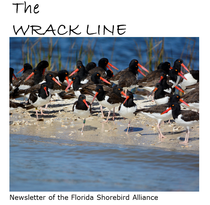 November 2023 Masthead for the Wrack Line newsletter showing American oystercatchers standing on beach near the water
