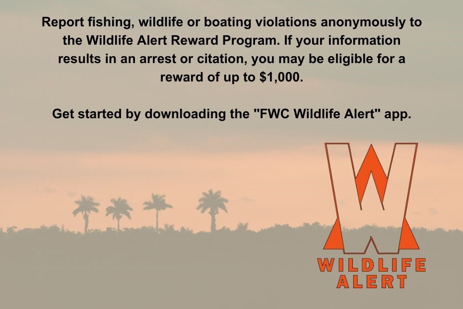 Wildlife Alert banner
