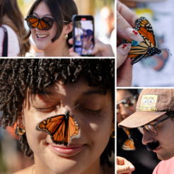 Festival goers with monarch butterflies on their noses (top and bottom left, bottom right). A scientist holds a butterfly (top right)