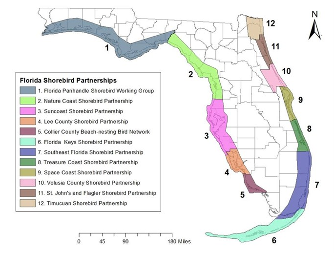 Map of the 12 Florida Shorebird Alliance partnerships