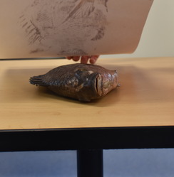 Summer camp participants at Suncoast Youth Conservation Center in Apollo Beach created gyotaku of tilapia