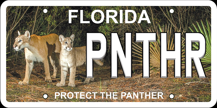 panther licese plate design