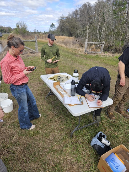 Water canaries activity