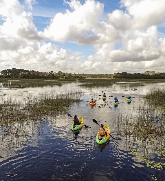 Kayakers padding on a marshy river.