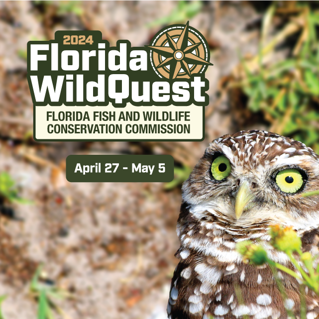 A burrowing owl peeks from the edge of a squre image, next to a logo with the text "Florida WildQuest"