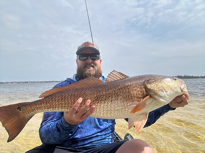 ingold with red drum