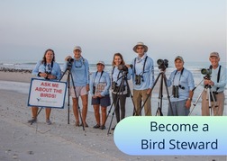 Bird Stewards on the beach 