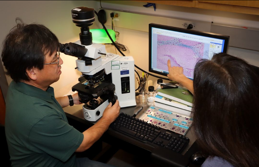 Response team examining histology slides from fish samples