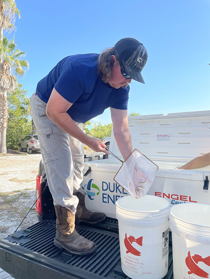 staff putting fingerlings in buckets for transport