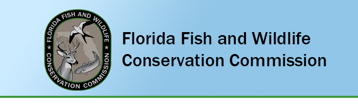 angler engagment header