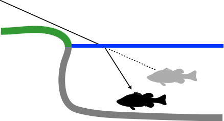 Bass in water and refraction