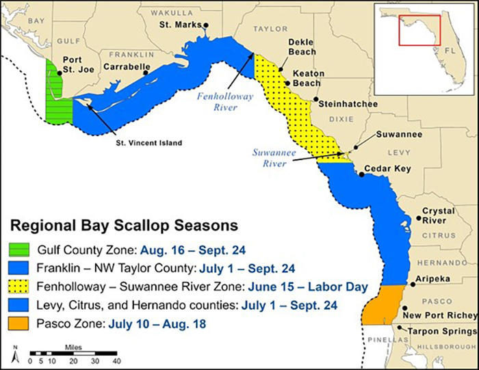 florida map showing bay scallop zones and season dates