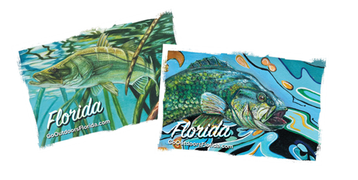 FWC: New fishing license card designs feature youth artwork from