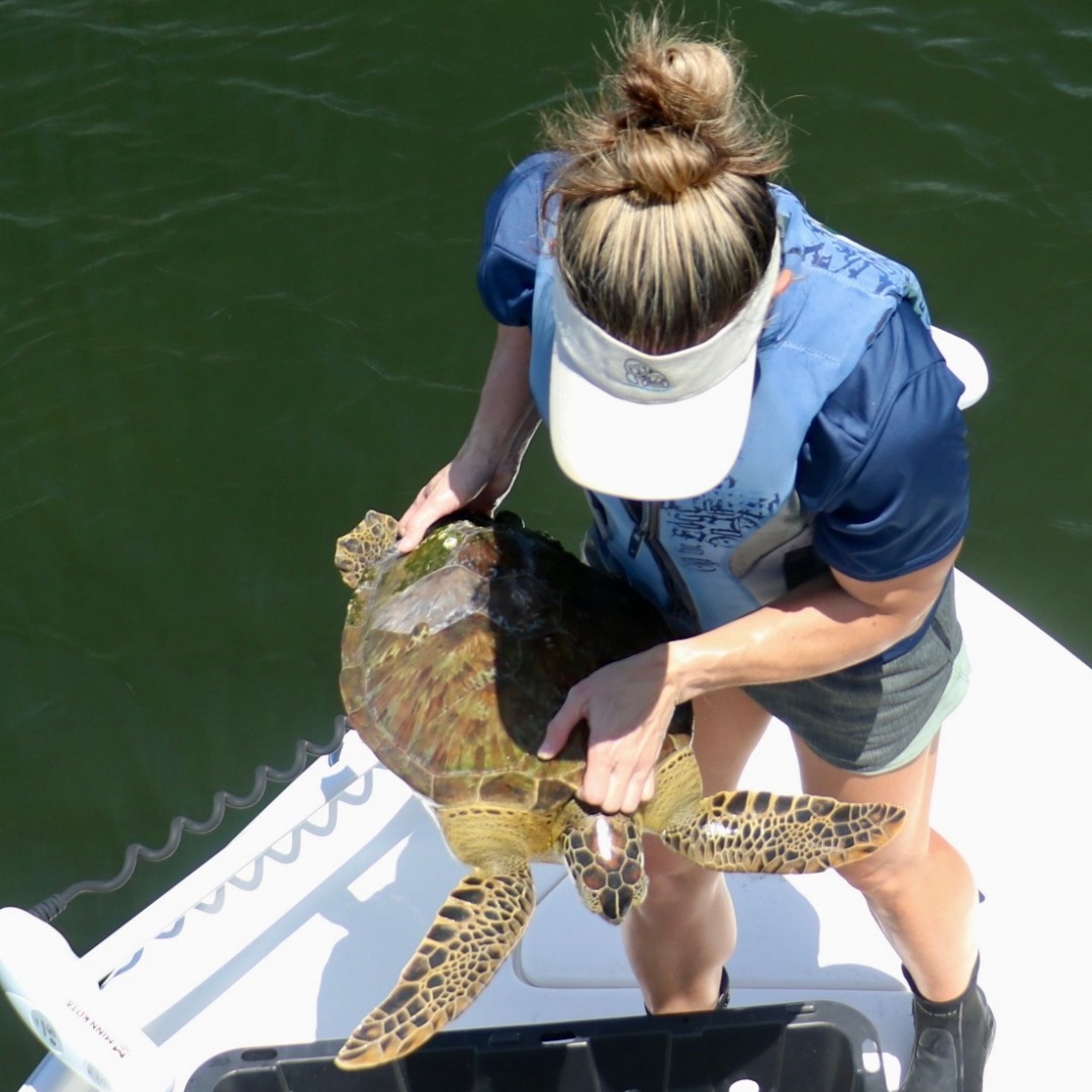 Team member and a rescued turtle