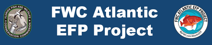 EFP newsletter header