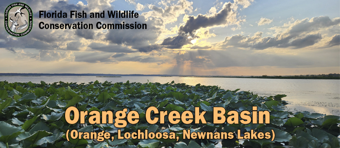 orange creek header v2
