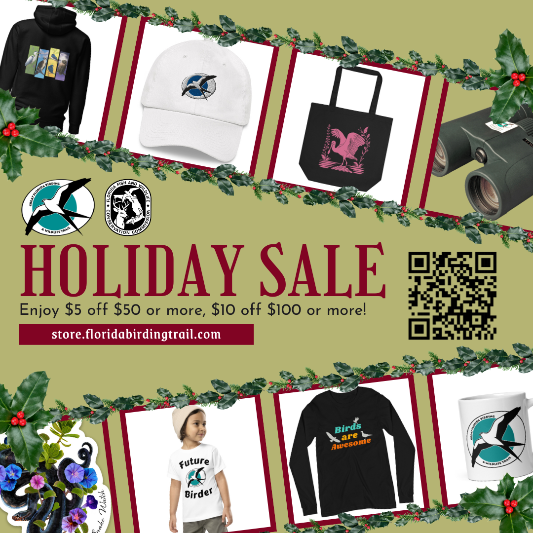 Image of holiday sale flyer includes same content as text and photos of merchandise.