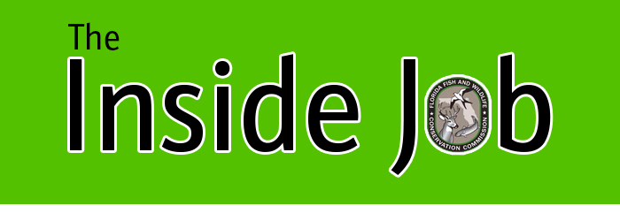 inside job header