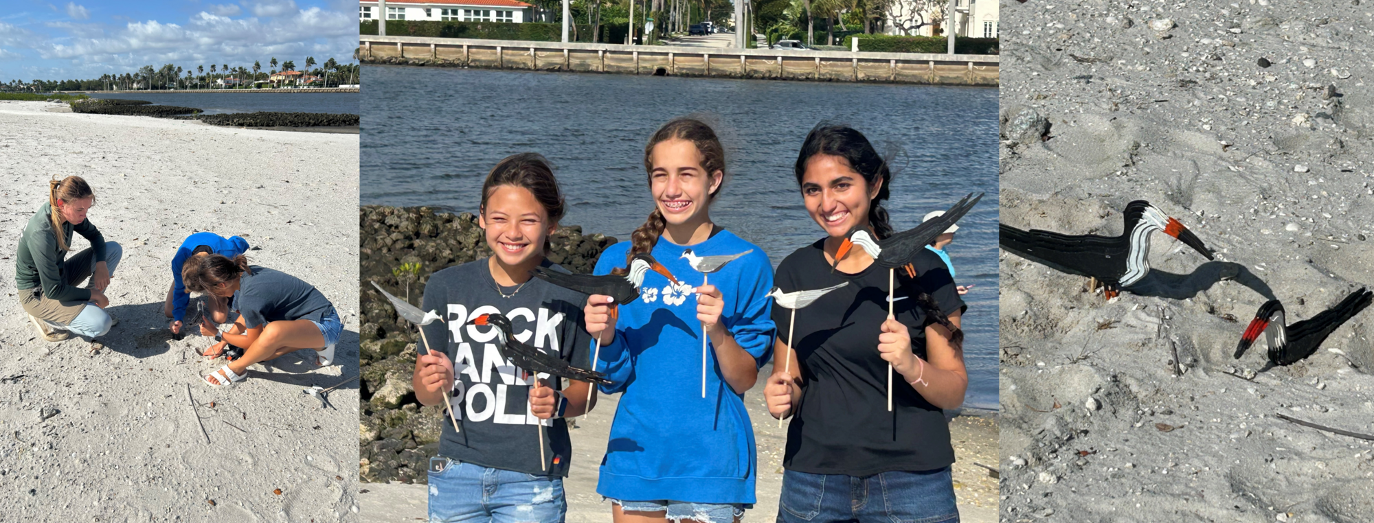 Students Create Seabird Decoys For use at the Lake Worth Lagoon Islands 