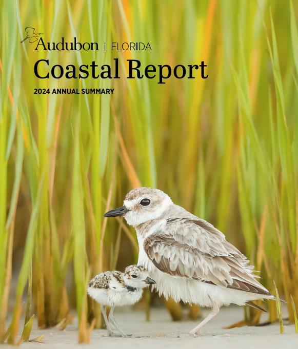 Audubon Coastal Report