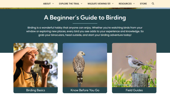 The "Beginners Guide to Birding" section of the new website contains the topics "Birding Basics," "Know Before You Go," and "Field Guides."