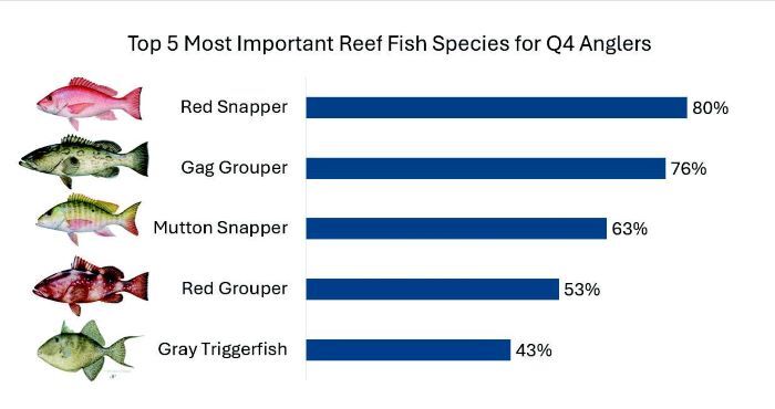 Graph of the top 5 important reef fish as percent. Red snapper 80, gag grouper 76, mutton snapper 63, red grouper 53, trigger 43