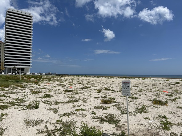 A flat beachfront vacant lot with a building to the left in the background. 