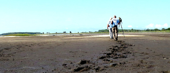 FWC field crew walking along a shore, footprints in first plane