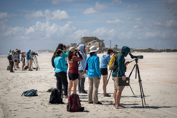 Two groups of trainees use scopes to observe Imperiled Beach Nesting Birds.